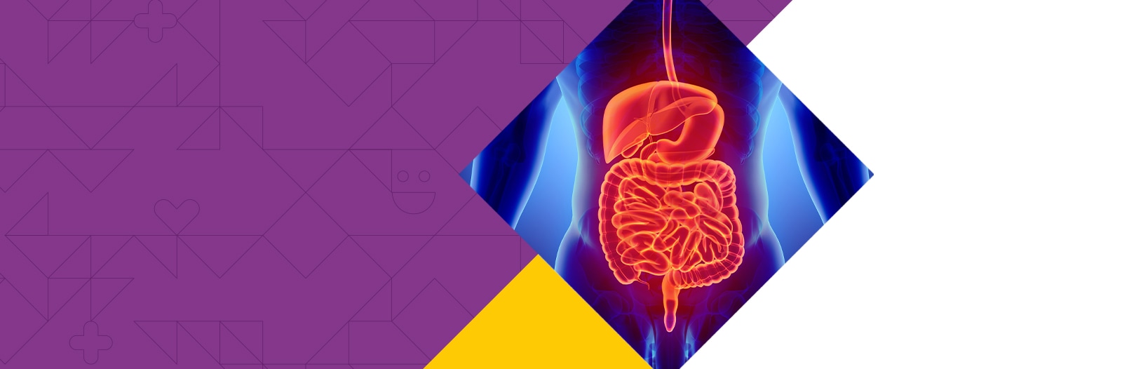 2º Simpósio de Urgências em Endoscopia Digestiva