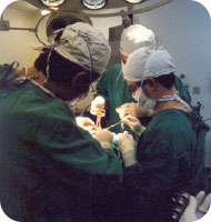 Foto de profissionais realizando Transplante de fígado