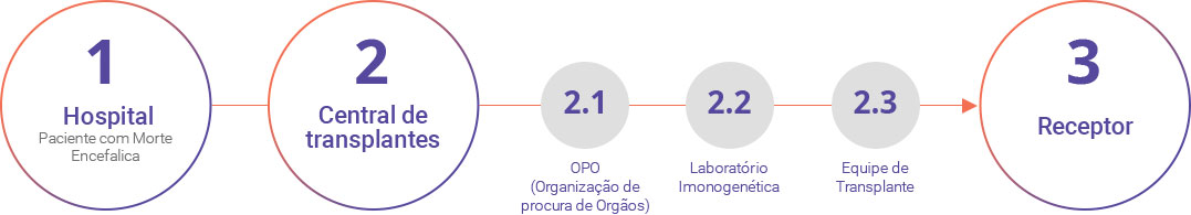 Imagem representando a doação de órgãos e orientando sobre o procedimento