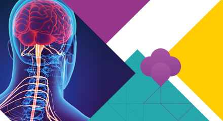 Curso Prático – Cirurgia da Base de Crânio para Tumores e Aneurismas Cerebrais