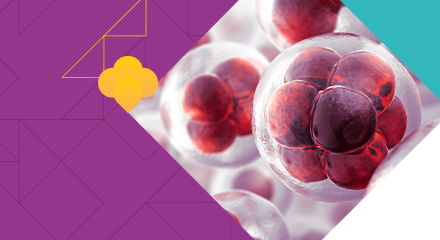2° Simpósio Brasileiro de Amiloidose / II Brazilian Symposium Amyloid
