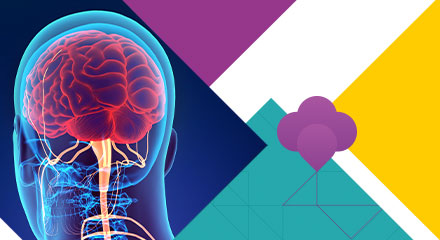 Curso Prático de Cirurgia de Base de Crânio para Tumores e Aneurimas Cerebrais