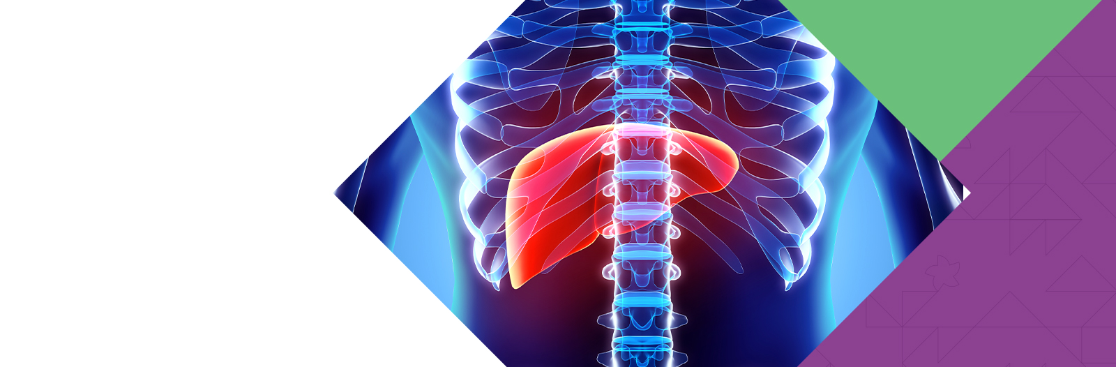 Simpósio Luso-Brasileiro de Transplante Hepático